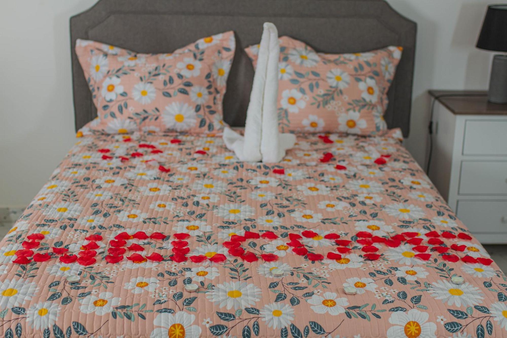 Cidade Paradise Guesthouse Cidade Velha 外观 照片